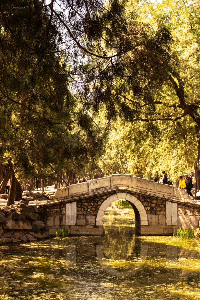 From Shanghai to Beijing: 3 Days of Travel with a Taste of Luxury; luxury travel; china travel; expat life