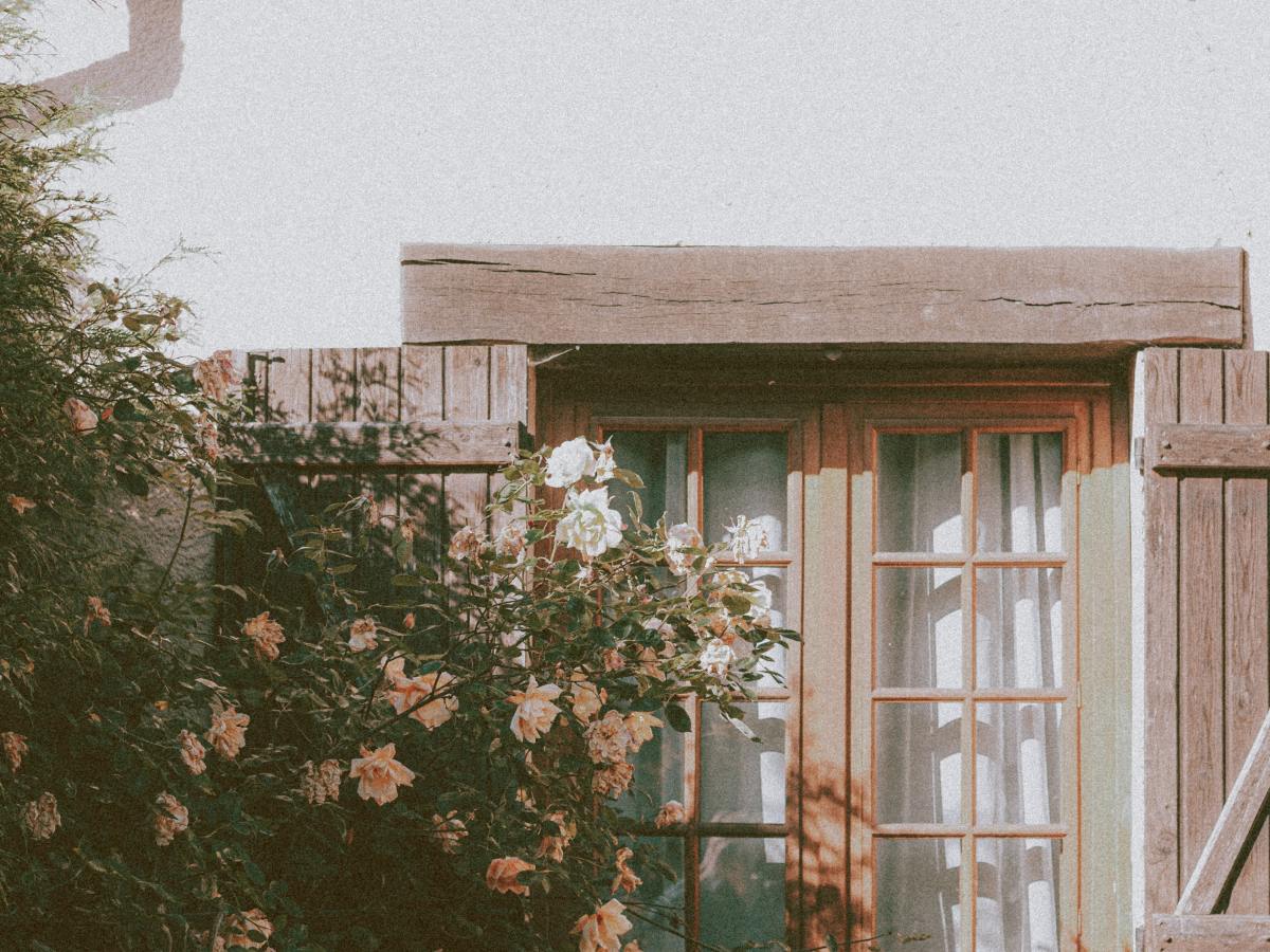 What Does it Mean to Have a Soft&nbsp;Life?